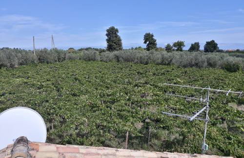 Casa Del Leone Rosso e Welness a due passi dalla Costa dei Trabocchi - Foto 10