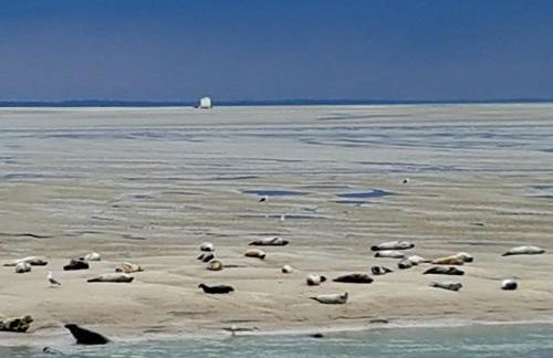 LES FRUITS DE MER, parking gratuit, lits faits, animal bienvenu et tout à pied - Foto 17