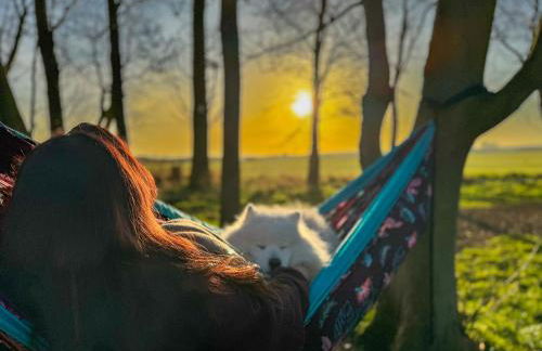 Off Grid Travel at Cambo Estate - Foto 47