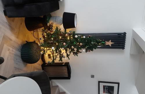 Barmouth High Street Family Apartment - Foto 66