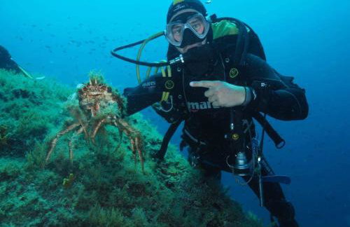 Studio Apartment Nature - Photo 16