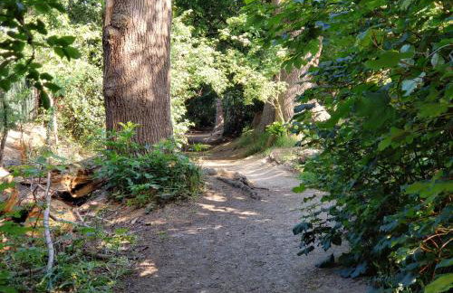 Luxury Self-Catering and Sauna - Oaks Rest - Foto 30