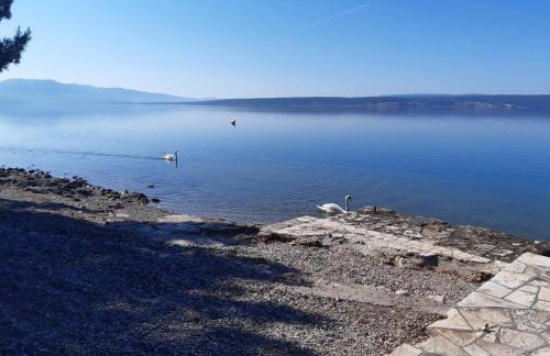 APARTMAN Viktor - Foto 23