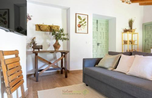 Nature Space Mentha - Foto 18