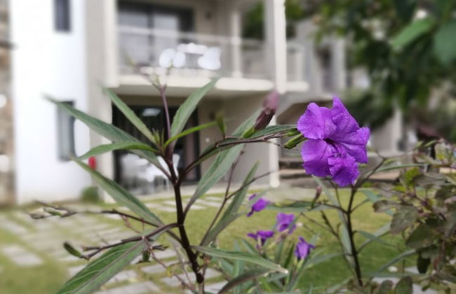 Valmarin Seafront Apartments - Photo 24