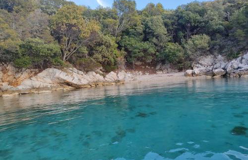 House Tuna - Foto 24