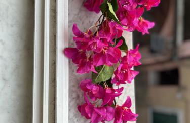 Casa Pietro - Photo 21