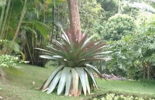 Quinta da Pedra do Elefante - Foto 69