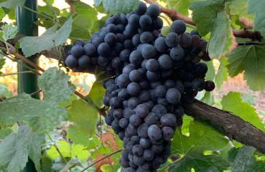 Casa colon - Foto 53