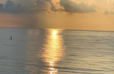 3-BR space in charming Hollywood - Foto 6