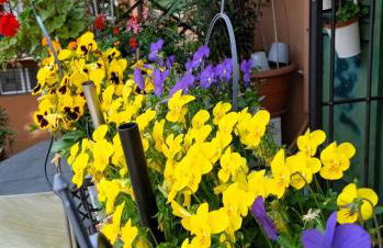 Casa Il Gelsomino - Photo 26