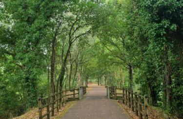 Casa do Pinheiro Manso - Foto 32