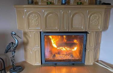 BESKIDIUM - uroczy dom Brenna - Foto 13