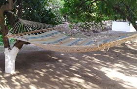 Peter's traditional house - Foto 49