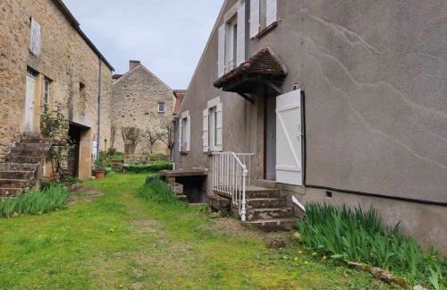 La glycine - Foto 15