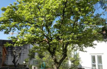 Casa do Ribeirinho - Foto 72