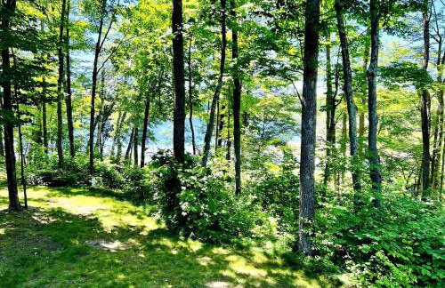 Pet-Friendly Lakeside Cabin Ideal for a Family Getaway in Wisconsin - Foto 31