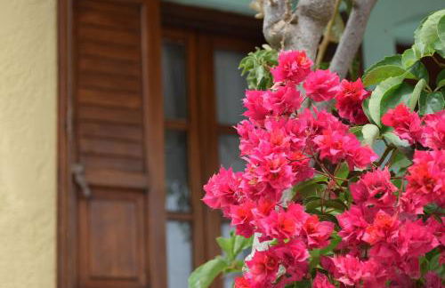 Grandes Apartments Kouremenos - Photo 18