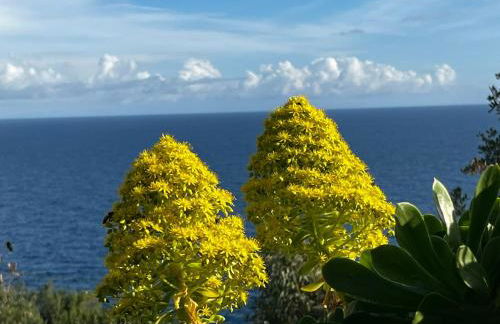 Villa Aurora - Foto 54