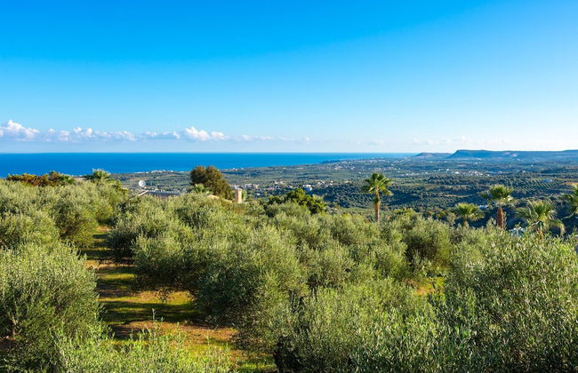 Villa Asimenia Large Private Pool Sea Views A C Wifi Eco-friendly - 2388 - Photo 52