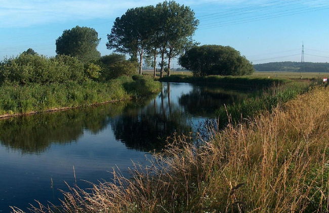 Wooden House in Plate Near Lake Schwerin - Foto 23