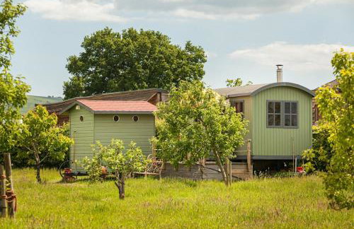 Orchard View Shepherds Hut - Foto 21