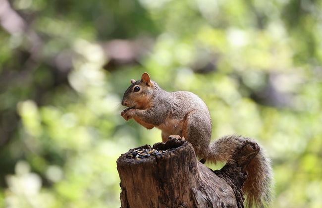 tenuta castel dell'aquila - Photo 28
