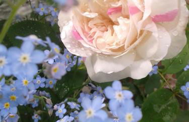 Landhaus Bellecôte - Foto 37