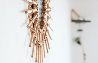 Tortuga blue house in banana plantation - Foto 7