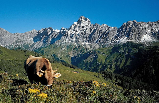 Apartment in St. Gallenkirch Near Ski Lift - Foto 22