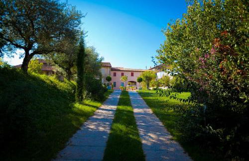 Agriturismo con Cucina tipica Nuova Scardua - Foto 29