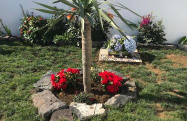 Joaninha's Beach House - Photo 17