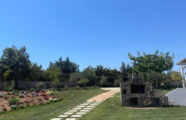 Platan Paradise - Foto 29