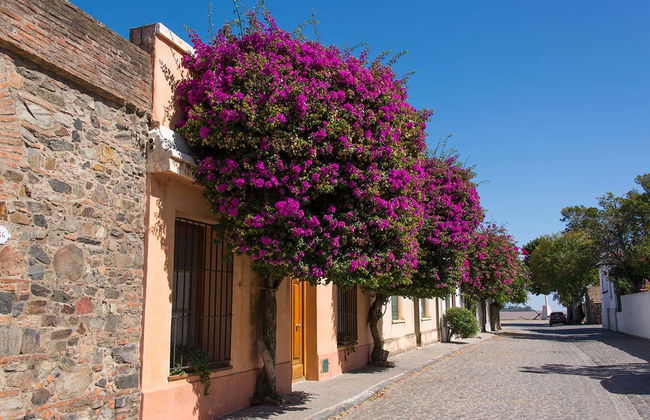 Excursión a Colonia del Sacramento - Foto 8