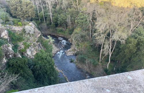 Nichoir des gorges - Foto 31