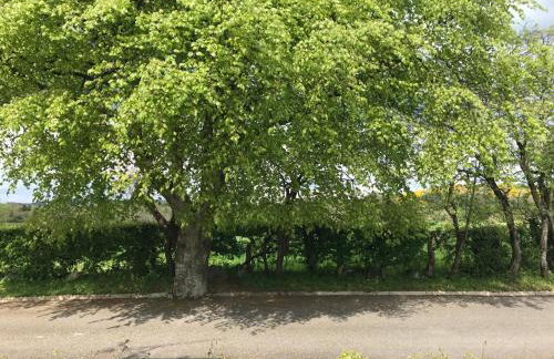 Craigs Rock Cottage Cookstown - Foto 18