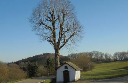Ferienwohnung Kaiser - Foto 18