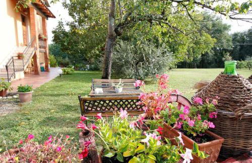 Pierotta Country House - Arezzo - Foto 62