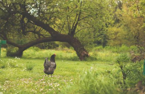 Moulin du Roz - Foto 7