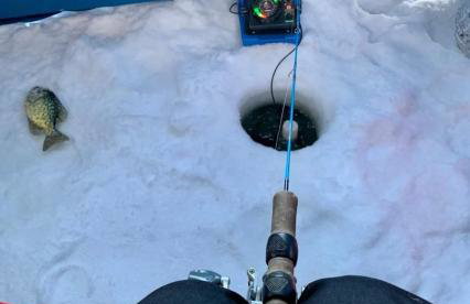 Long Lake Lookout, Dog Friendly - Photo 27