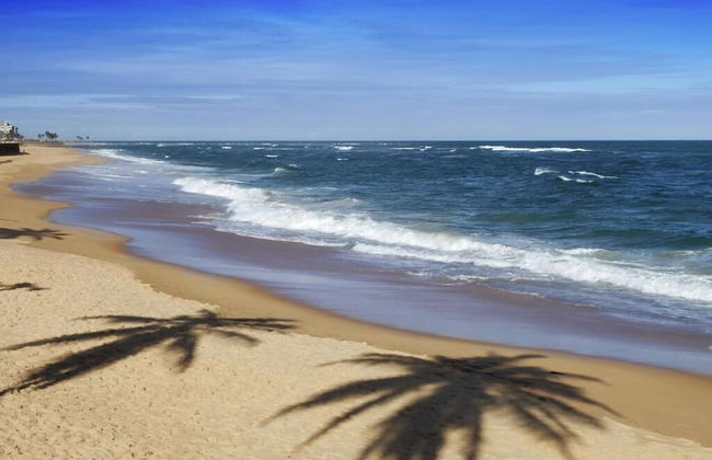 Loft Vista Mar - Photo 10