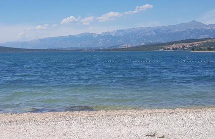 Babaloo Beach Apartments - Photo 50