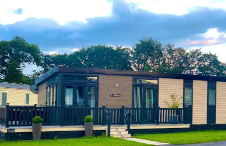 Forest lodge - Foto 20