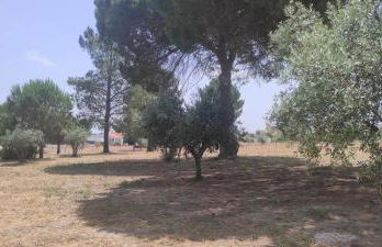 Quinta do Pinheirão - Foto 28