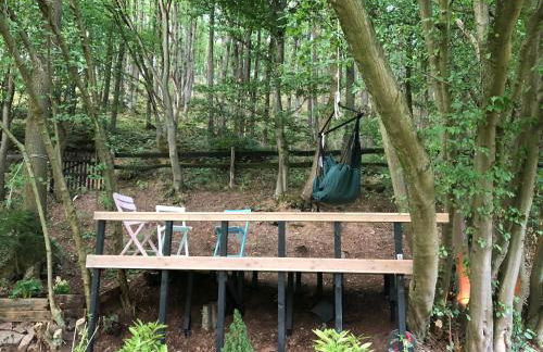 Ferienhaus Waldbaden im Nationalpark Eifel- am Bach - Foto 22