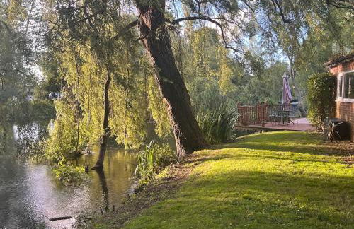 Riverside Studio - Foto 9