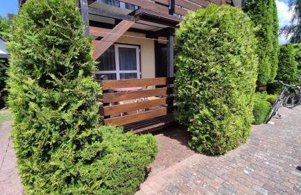 Pod Brzozami - Foto 39