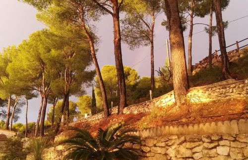 Villa Le Mas des Roches à 15mn airport Marseille - Photo 30