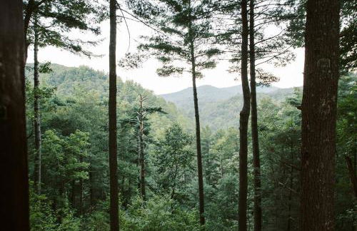 Secluded 4WD Getaway with Mountain Views and Hot Tub - Foto 30