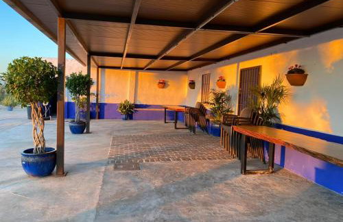 La casa del olivo - Foto 15